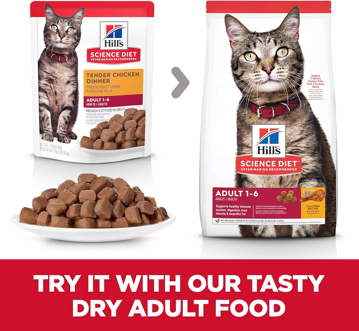 Alimento húmedo para gatos adultos pollo paquete de 24