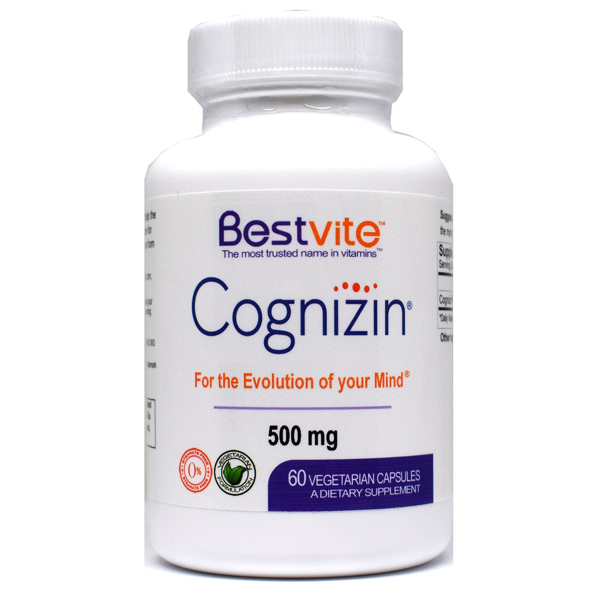 Cognizin Citicoline 500mg (60 Vegetarian Capsules)