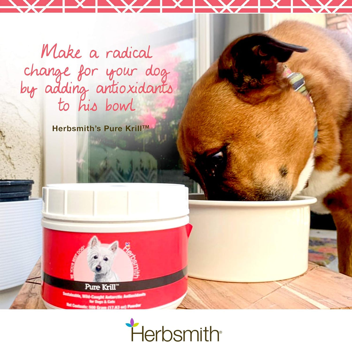 Suplementos Krill antártico Omega 3 para usar animales