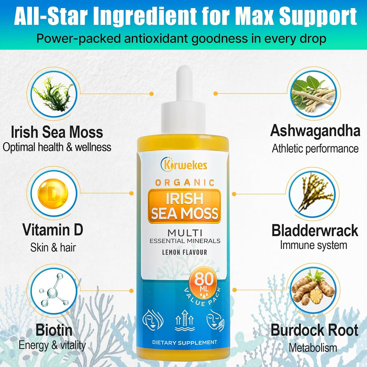 Sea Moss & Ashwagandha Drops - 80 Servings, 10X Potency