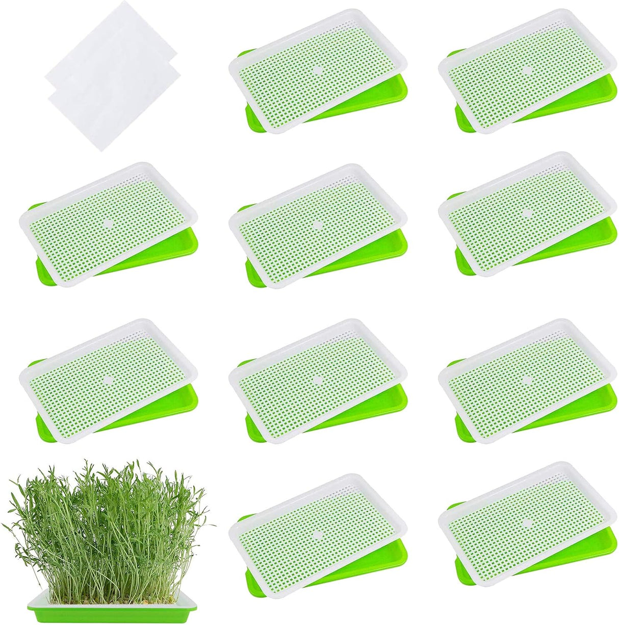 Bandeja para Cultivo 10 bandejas para brotes de semillas