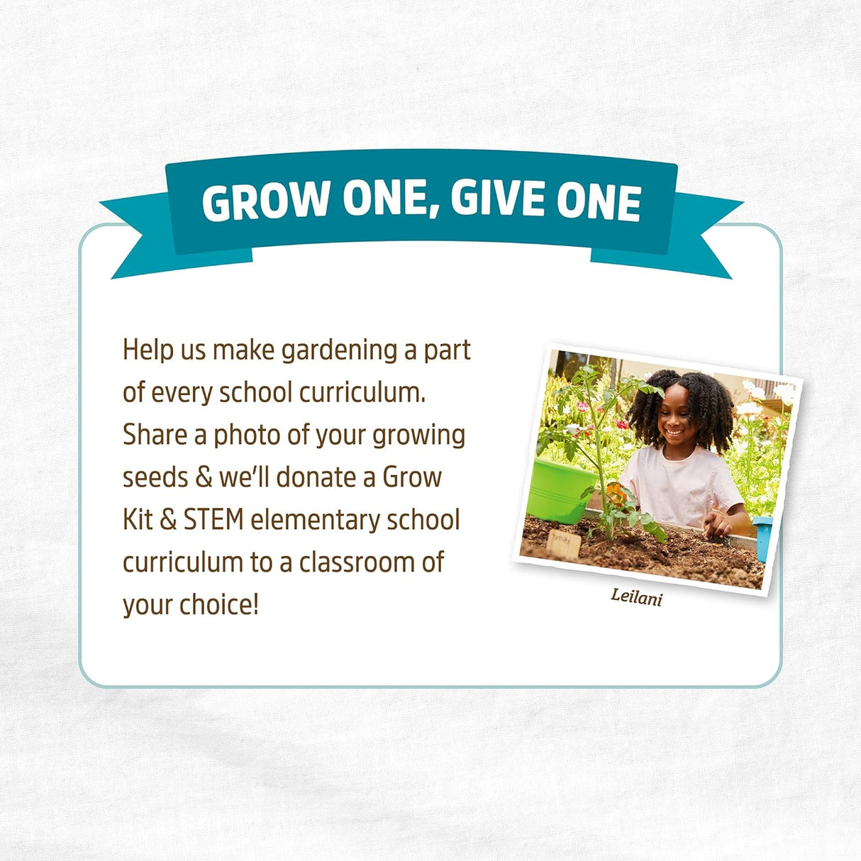 Semillas de Alfalfa 100% Orgánicas Back to the Roots 1 Libra