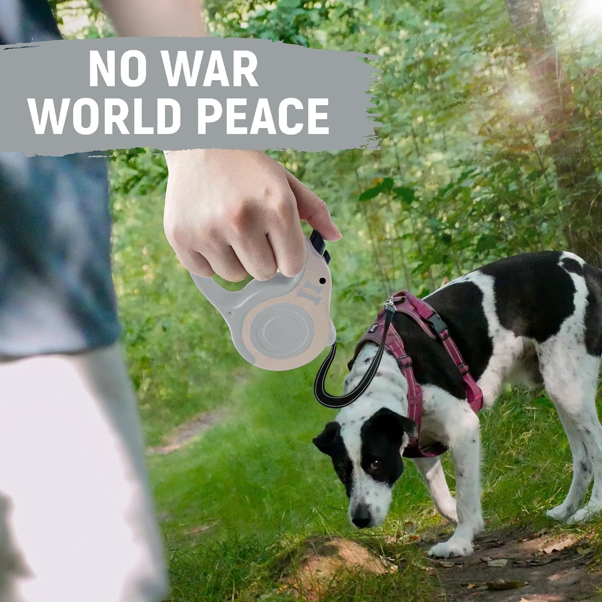 Correa Retráctil Automática para Perros con Tazón