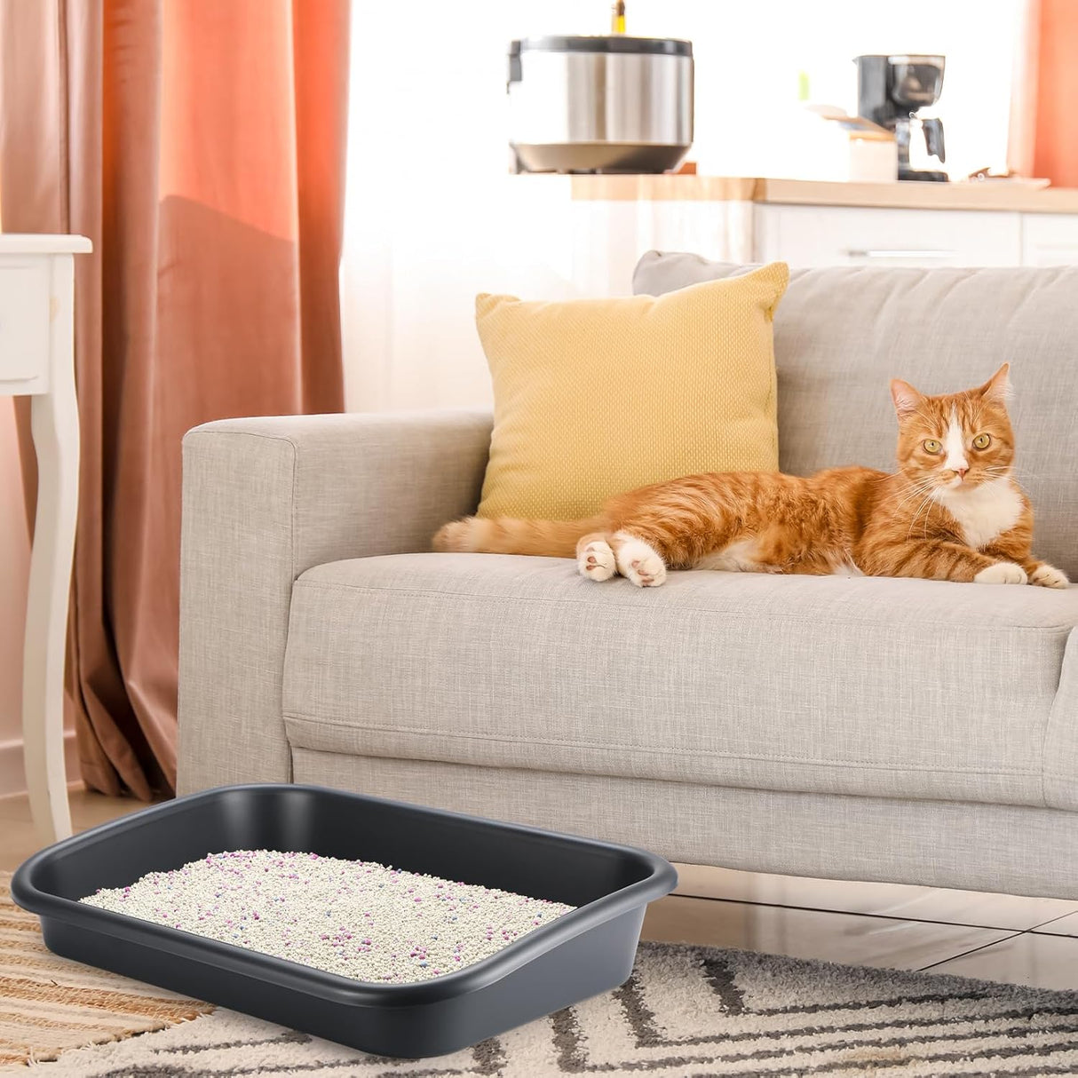 3 cajas de arena para gatos mayores de entrada baja Uiifan