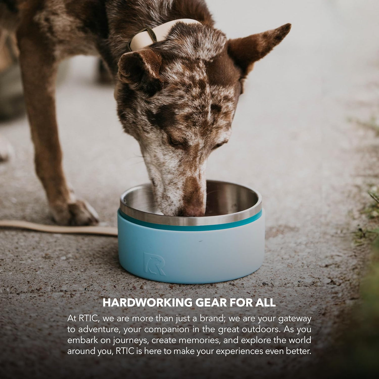 Tazón de perro 3 en 1 RTIC, acero inoxidable, grande, profundo