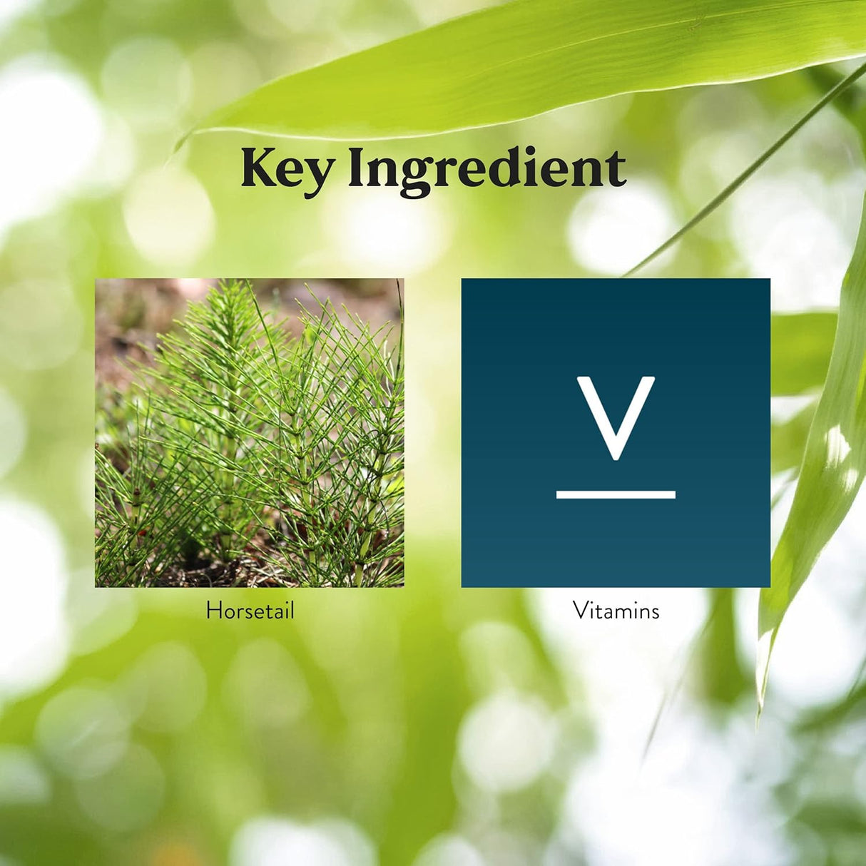 Fuerza Esquelética con Vitaminas y Minerales, 150 tabletas