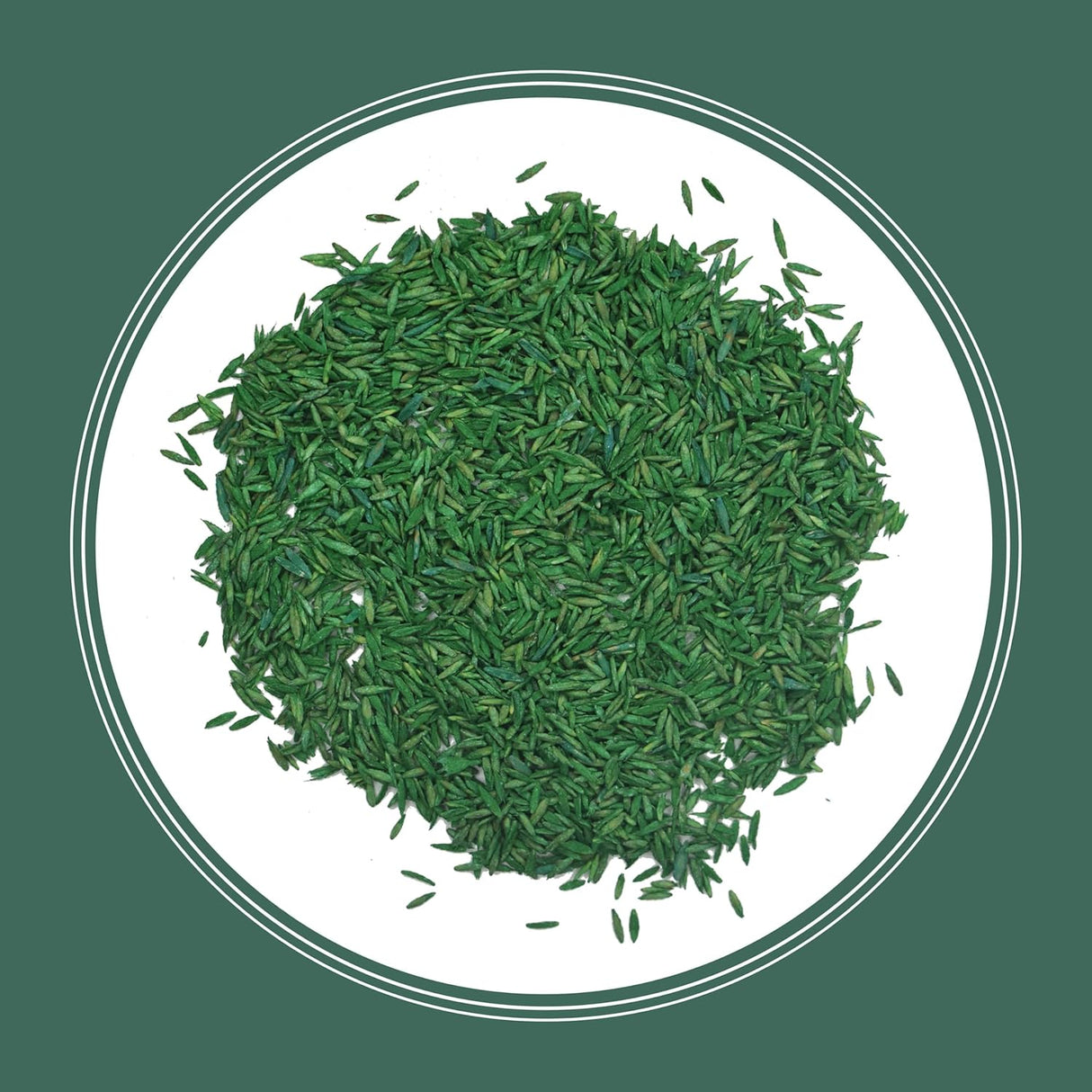 Semilla de Césped Tall Fescue Penkoted 3 lb Pennington Kentucky