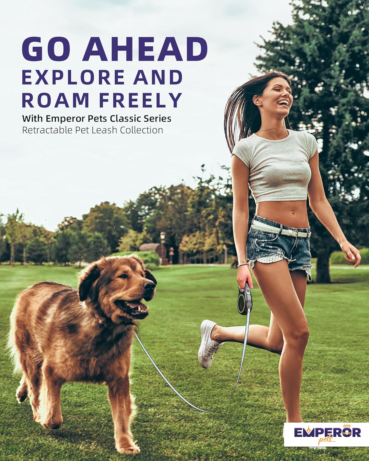 Correa Retráctil para Perros Grandes y Medianos - GY16