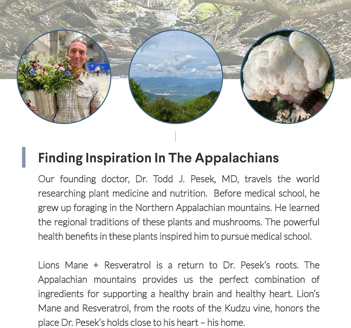 Suplemento resveratrol, 800 mg de extracto de melena de león