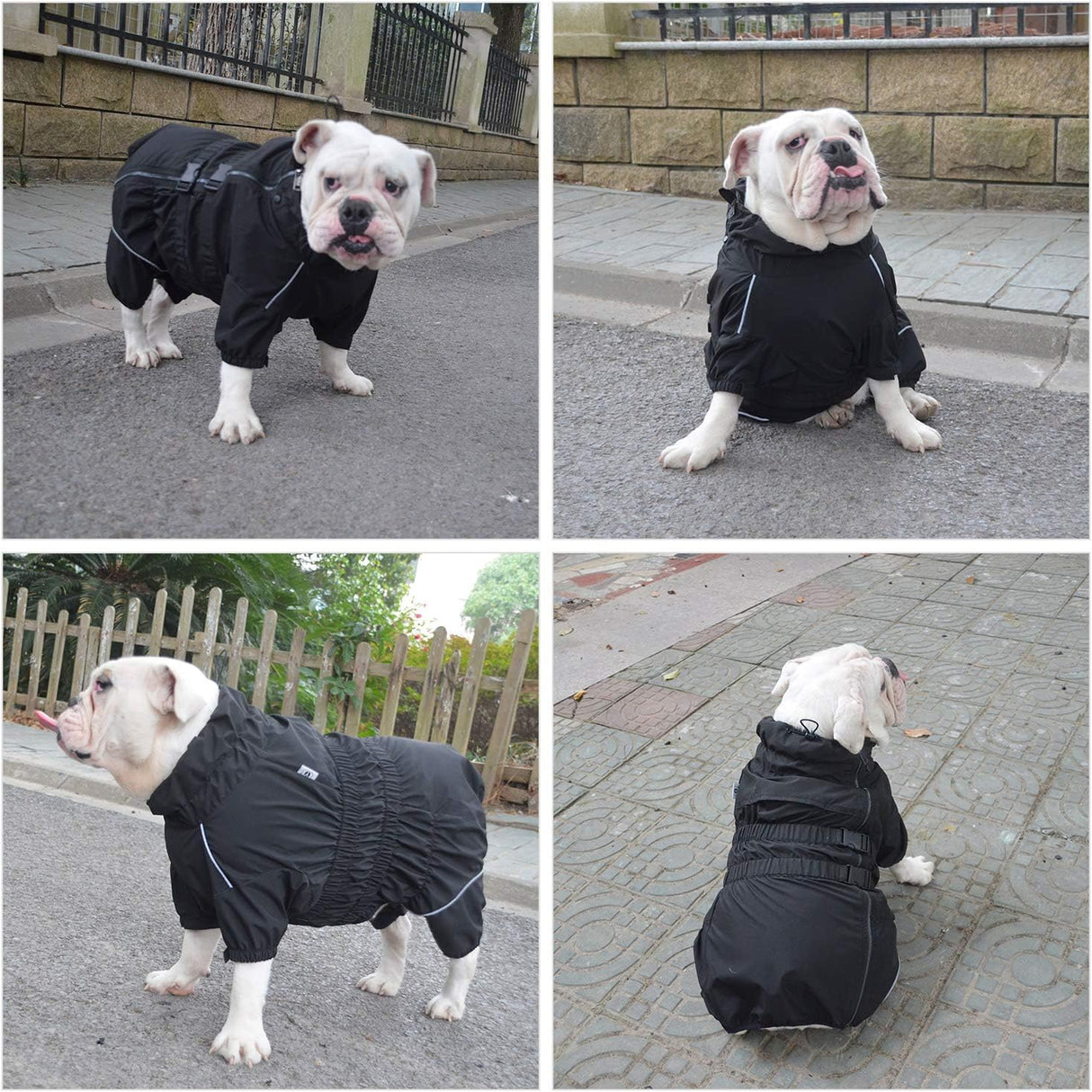 Chaqueta impermeable para perros, segura, ligera, XXL