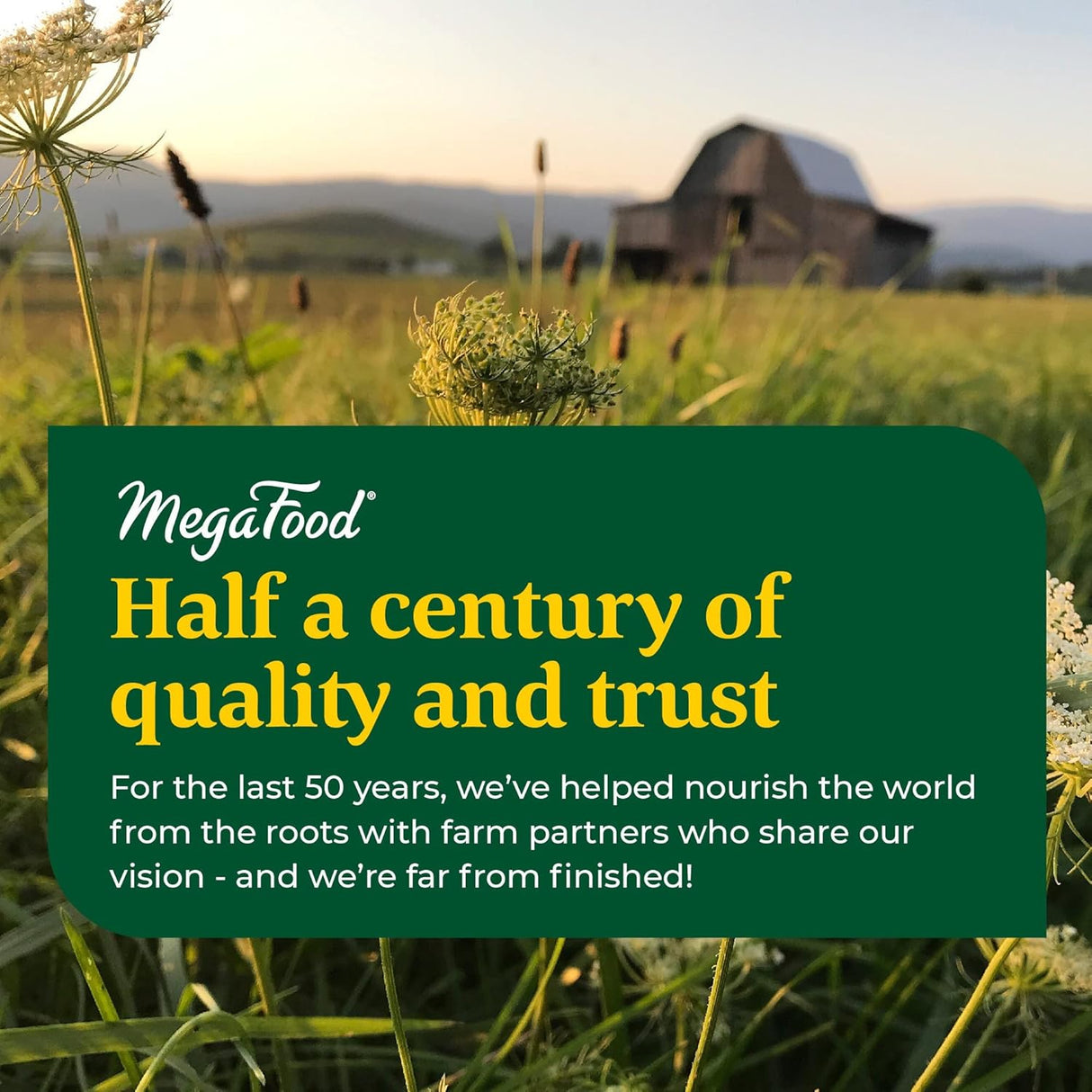 Suplemento MegaFood Mujer 40+ One Daily mineral biotina