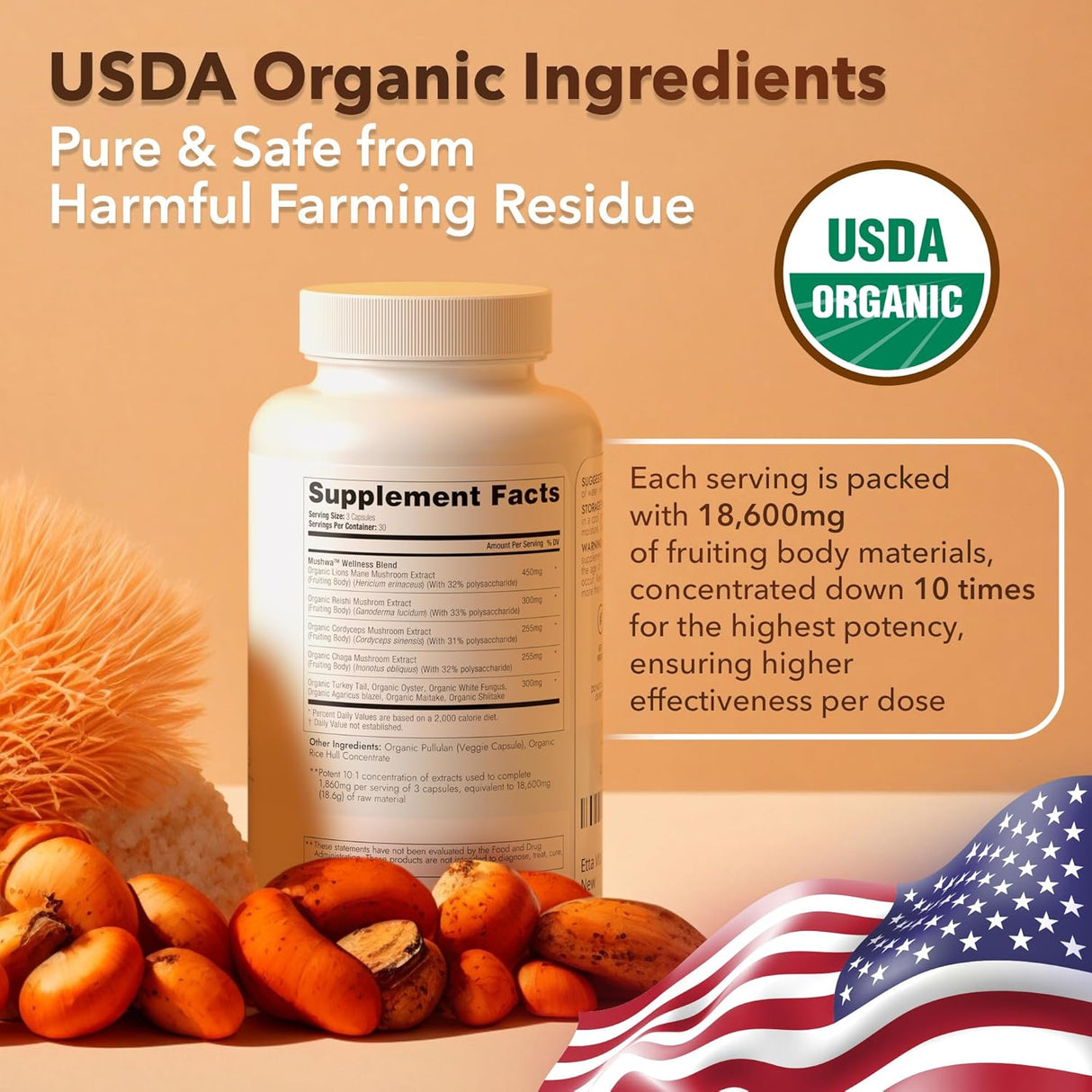 Suplemento Orgánico con Melena de León y Hongos Adaptógenos