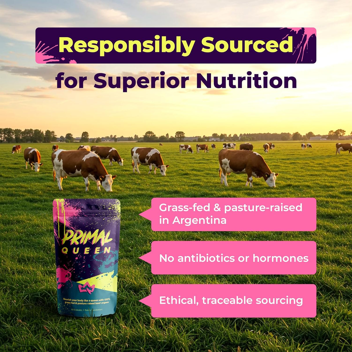 Suplemento de órganos de res para mujer, 100% pasto, equilibrar hormonas