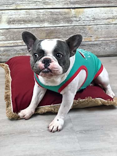 Camiseta Parisina Pet Santa's Little Helper Para Perros