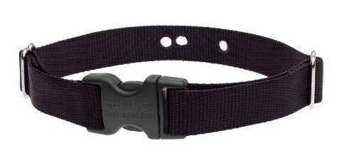 Correa de collar de contención negra de 1 pulgada de lupino