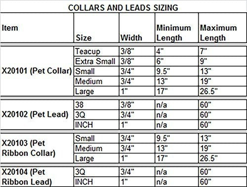 correa para pasear perros