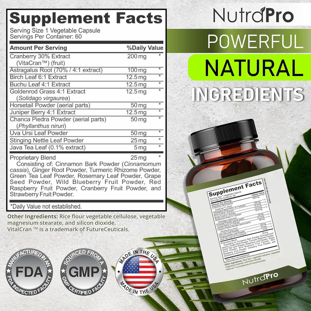 Suplementos de desintoxicación y reparación de limpieza renal