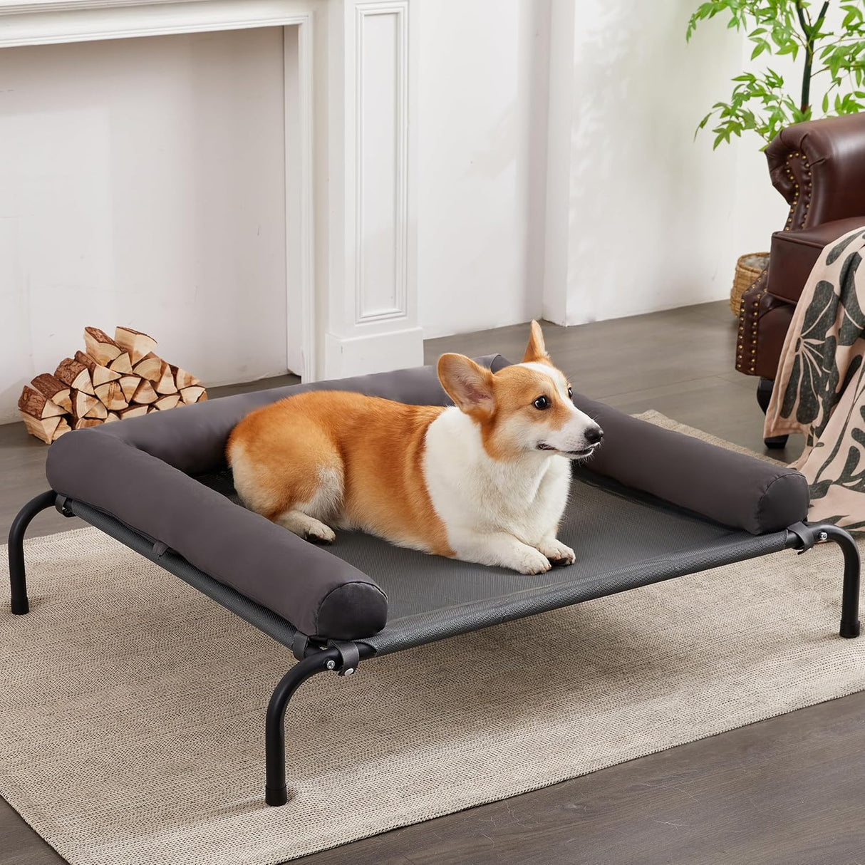 Cama Elevada para Perros, Portátil, Resistente, Mediana