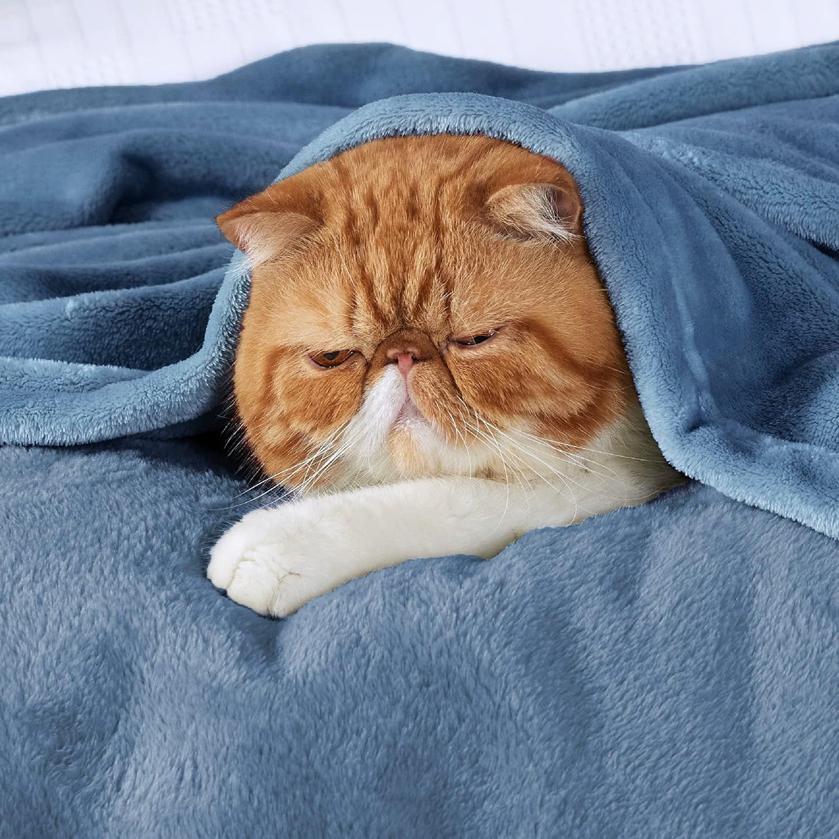 Manta de felpa Bedsure 300GSM, suave y ligera, modelo para sofá