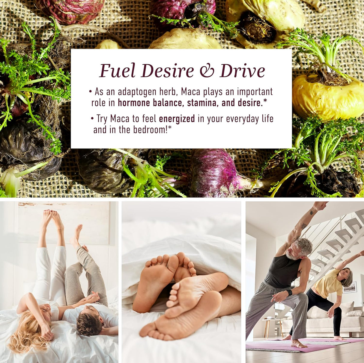 Suplemento de raíz de maca para impulso SMNutrition