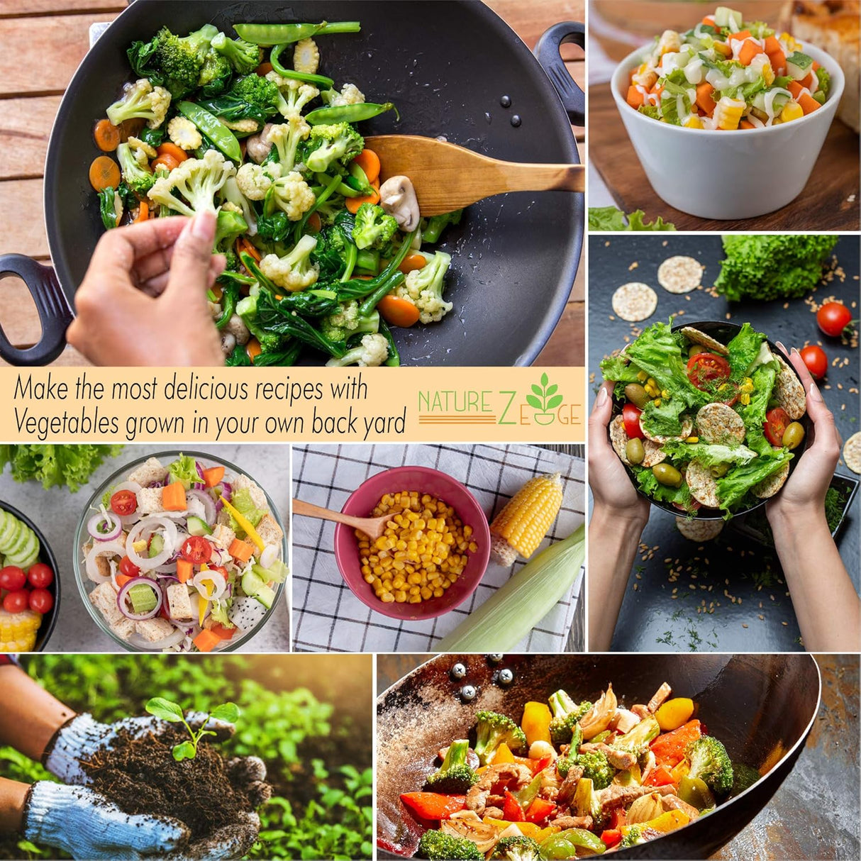 Semillas Herencia 4800 No GMO Variedad de Vegetales y Frutas