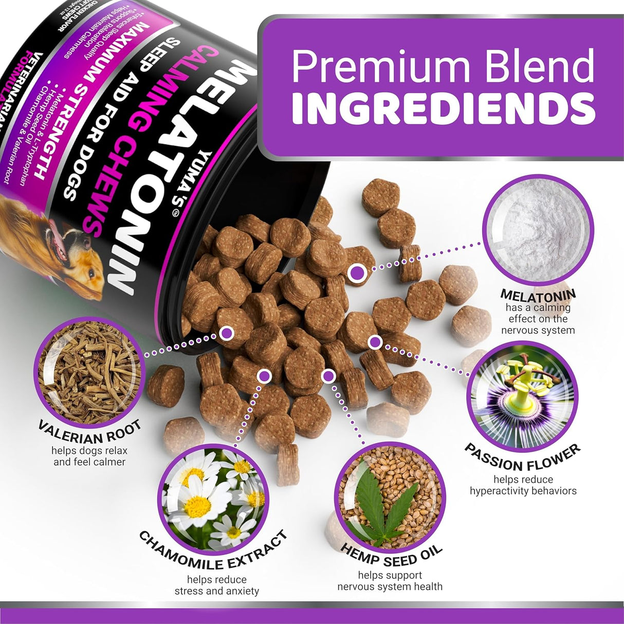 Melatonina para Perros - 170 Chews - Alivio Estrés y Ansiedad