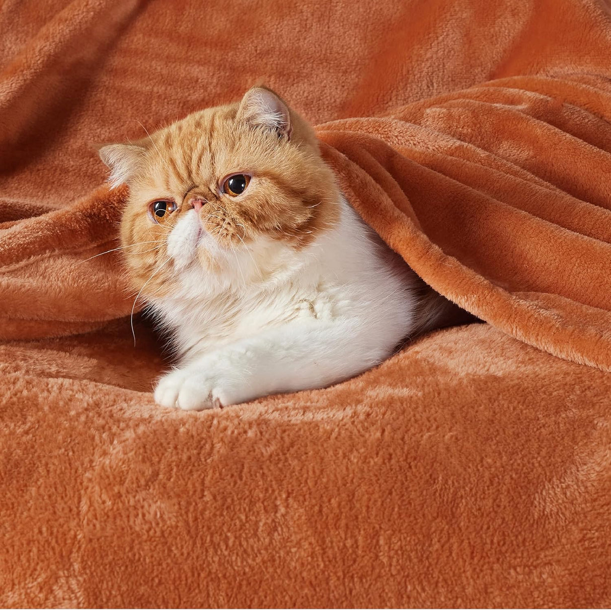 Manta Fleece Bedsure 300GSM Suave Ligera para Sofá y Camping