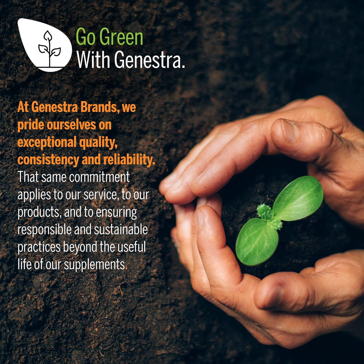 Suplementos Alimenticios Apoya la salud articular