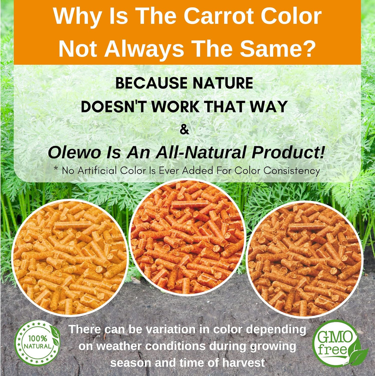 Vitaminas para perros Decoración de comida para perros