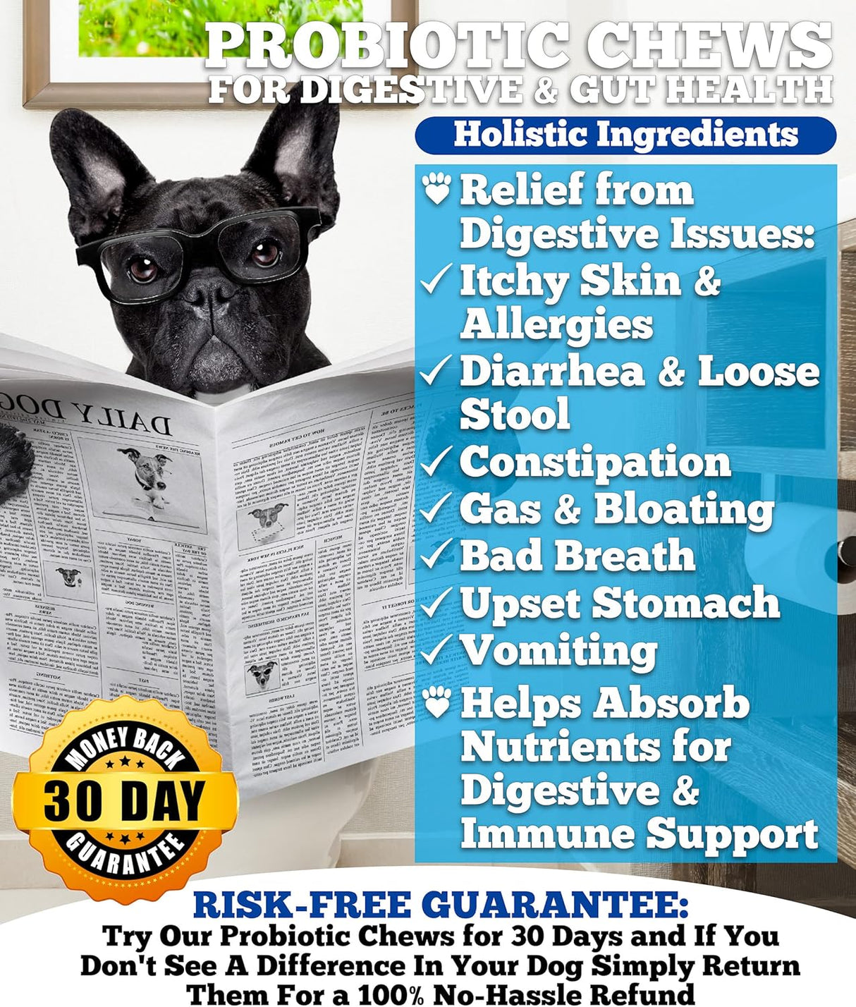 Vitaminas perros Probióticos para perros y enzimas