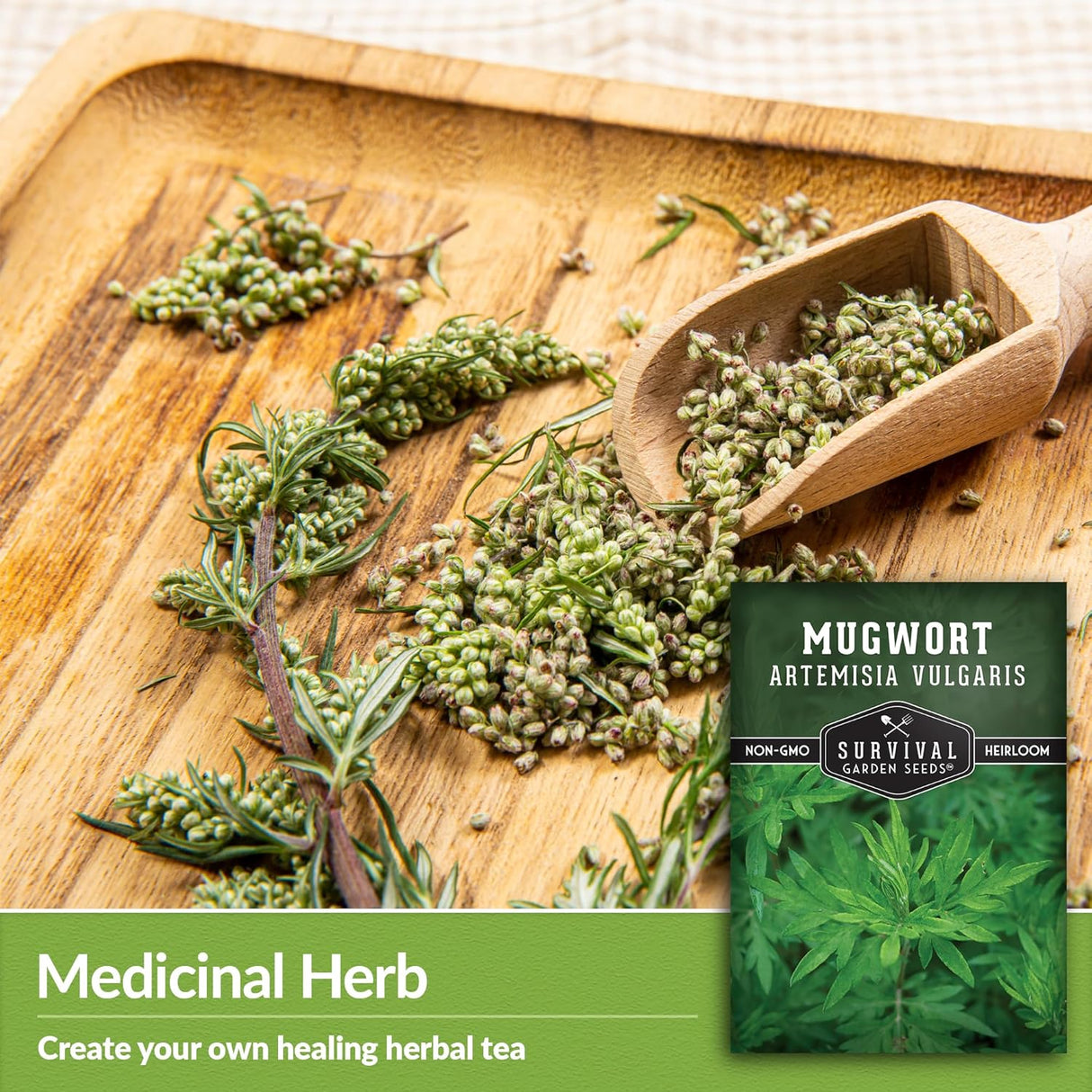 Semillas de Artemisa Común - Heirloom, No GMO - 1 Paquete