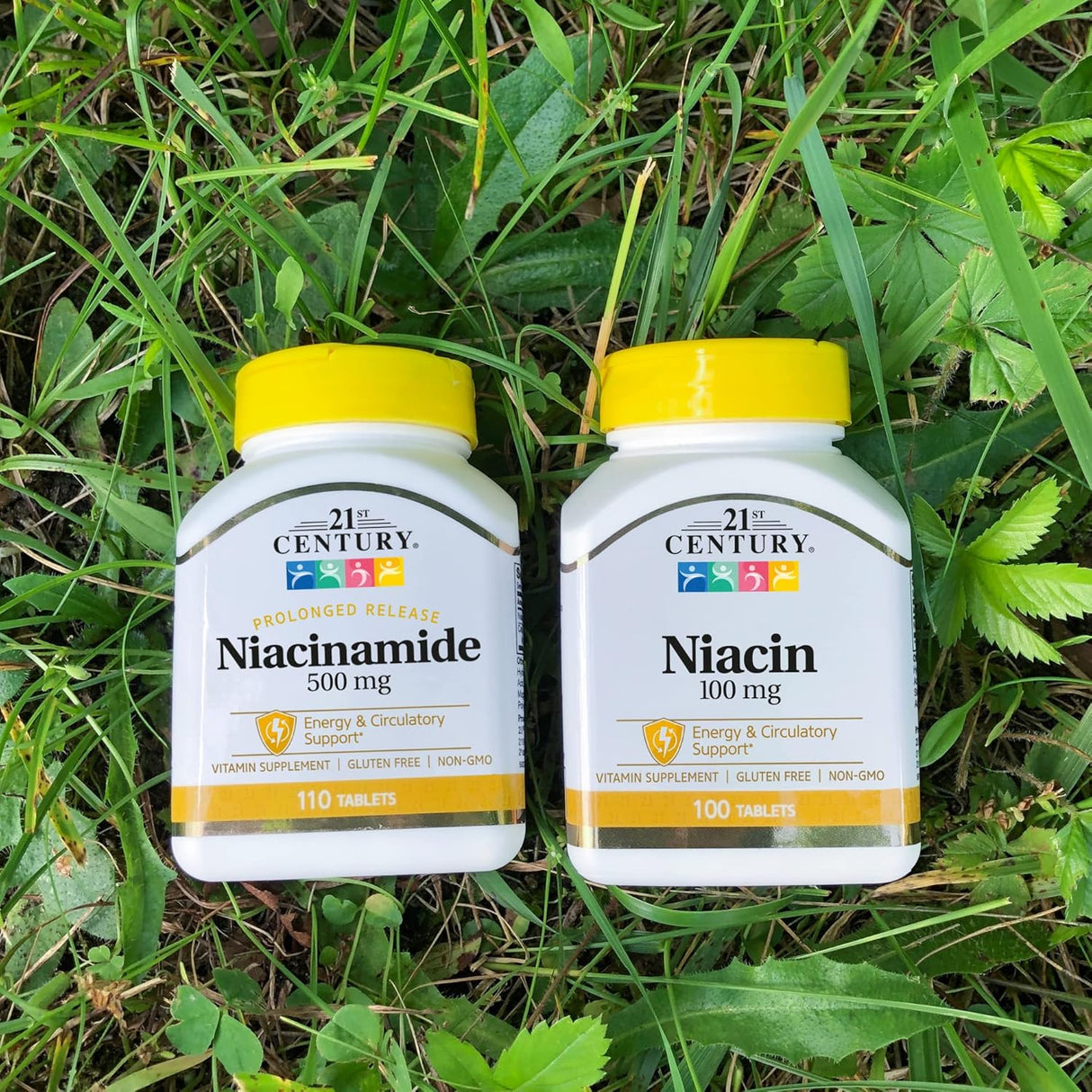 Suplemento Niacinamida 500 mg de liberación prolongada 110u
