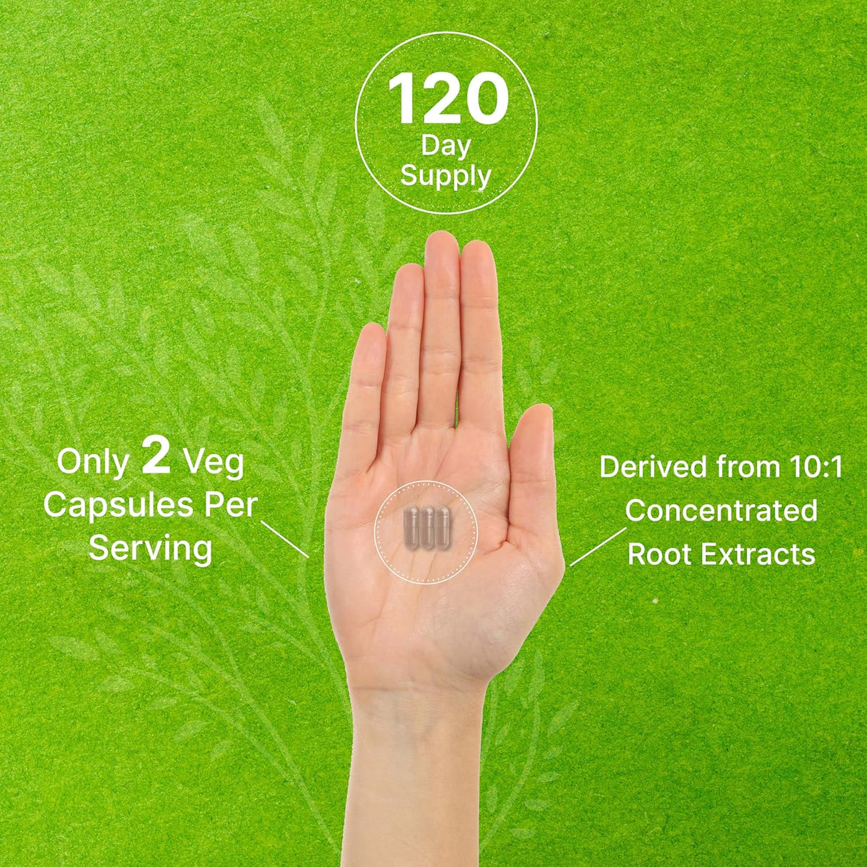 Suplemento de Rhodiola Rosea, 5000mg, 240 cápsulas, Max Strength