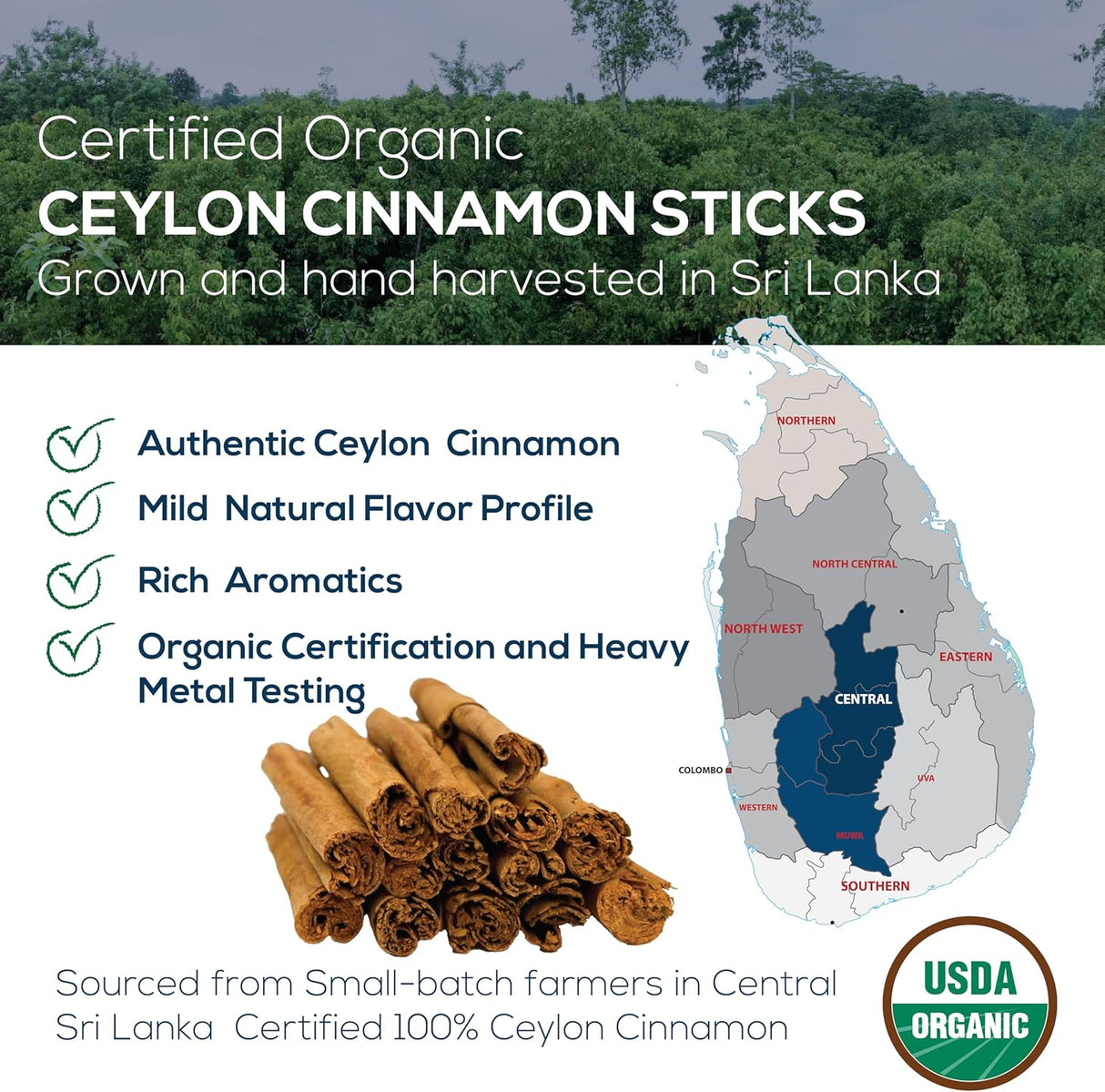Canela Ceylán Orgánica, Premium de Sri Lanka, Sin OGM, 100g