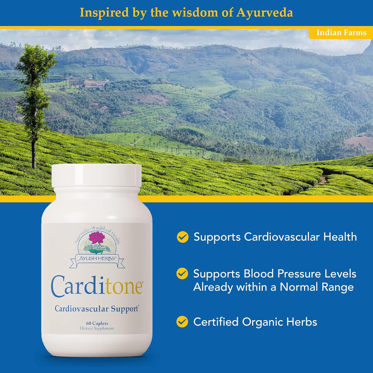 Suplementos Alimenticios 60 cápsulas Carditone