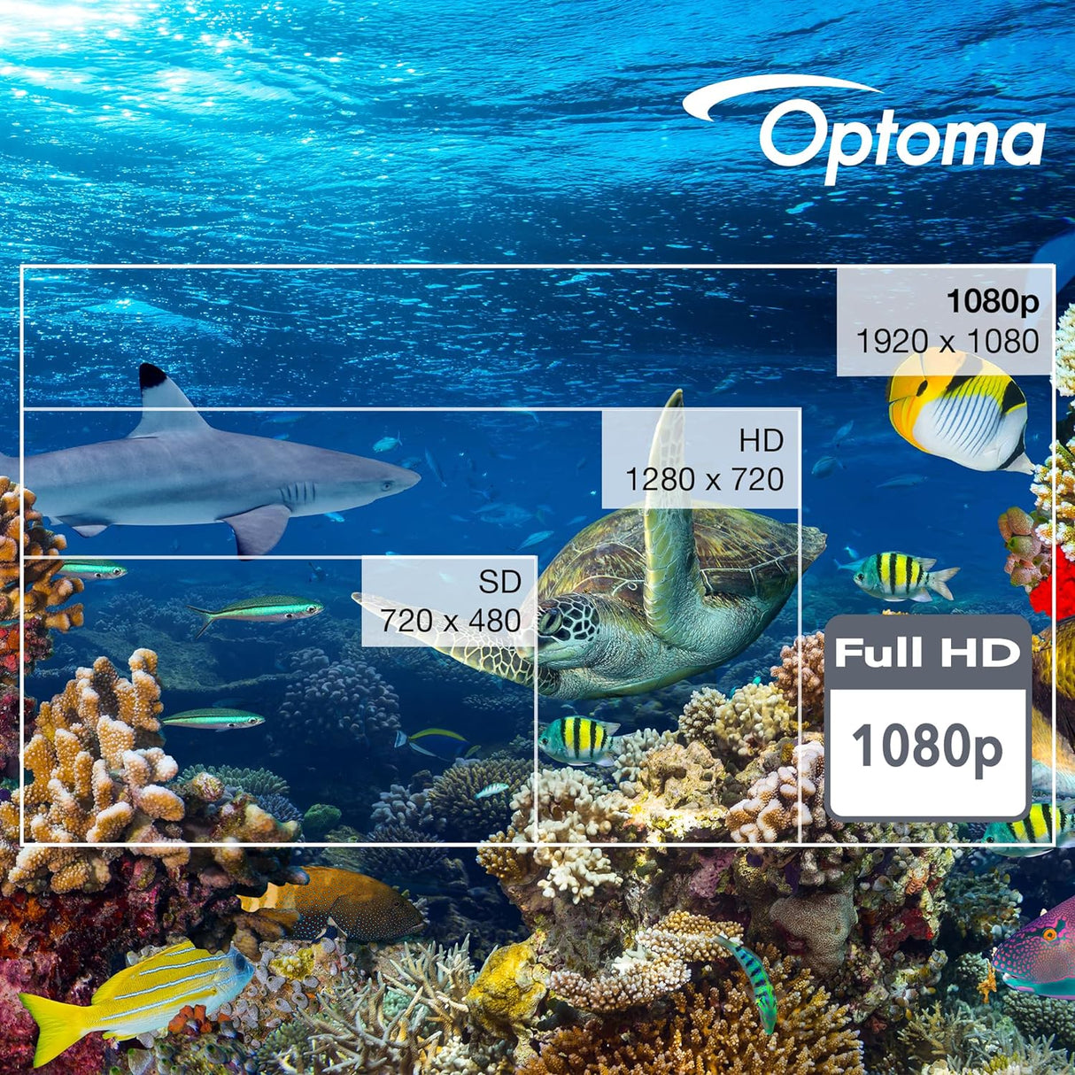 Proyector Optoma HD30LV 1080p 4500 lúmenes HDR para juegos