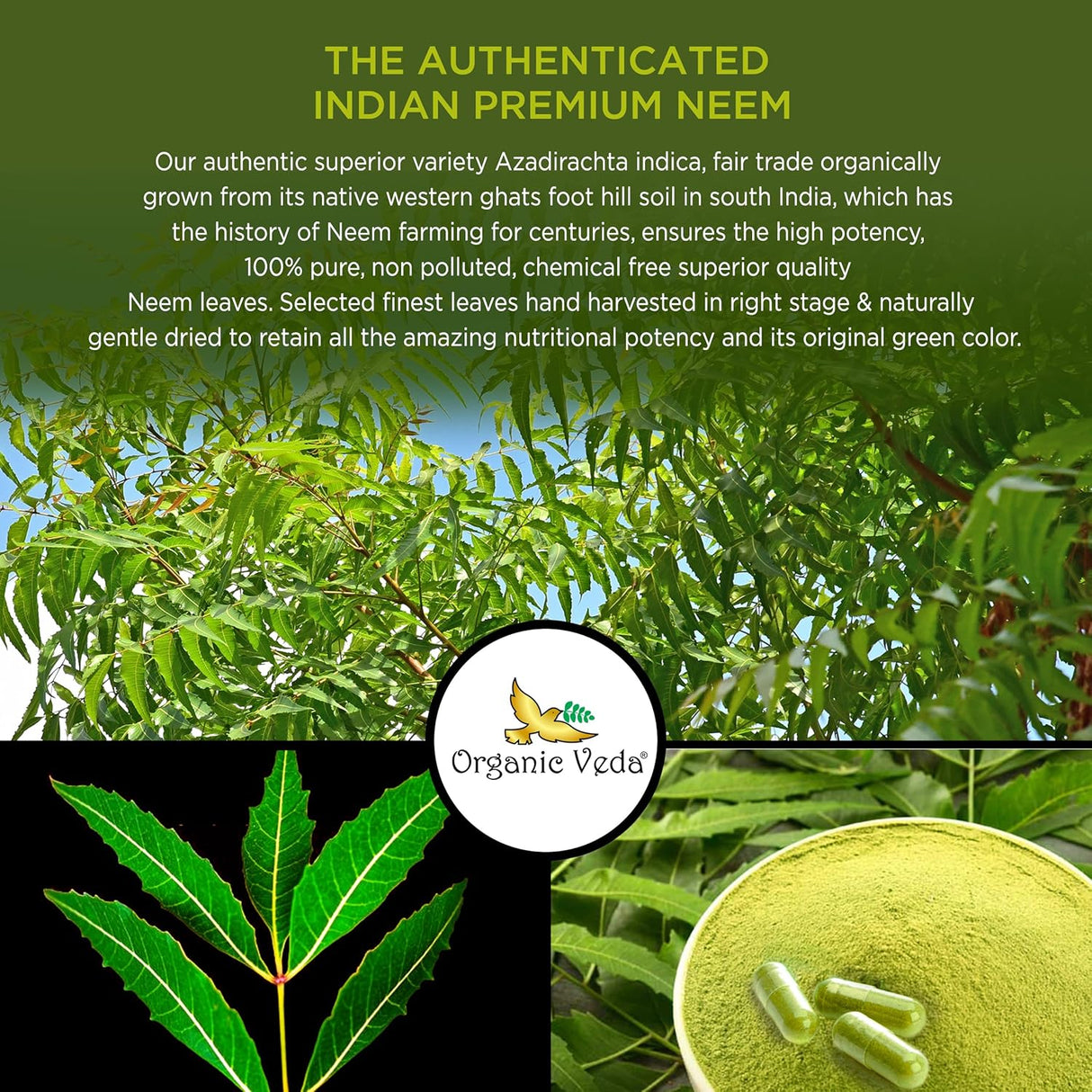 Suplemento Organic Veda herbales para piel clara 120 unidad