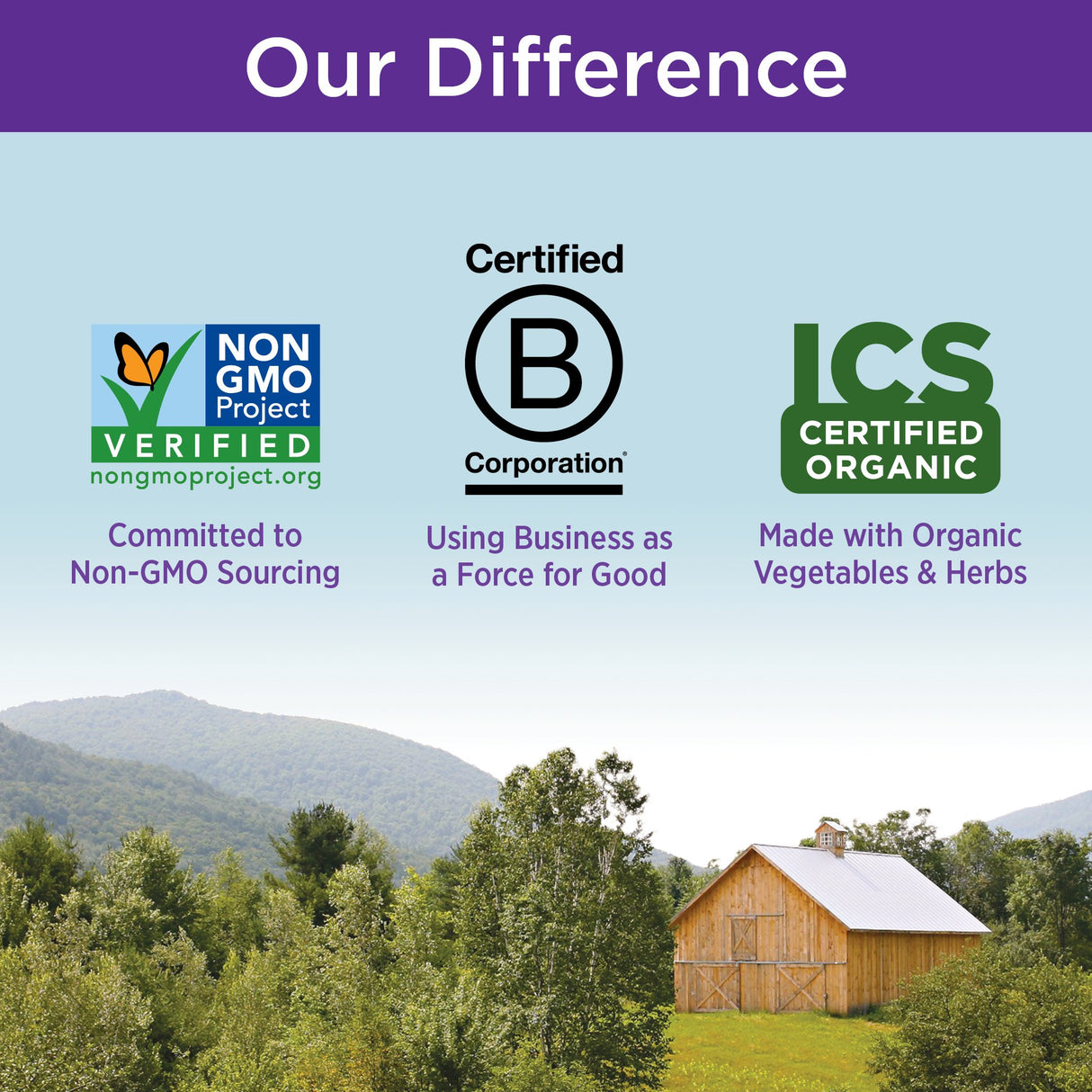 Complejo de vitamina B Complejo de alimentos con coenzima B