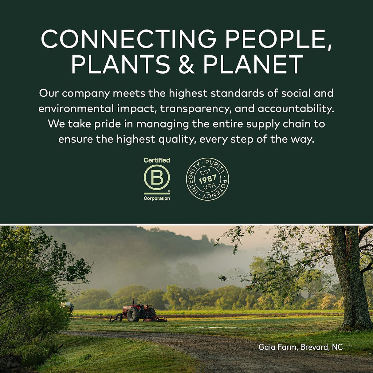 Suplementos Alimenticios apoya la resistencia para hombres