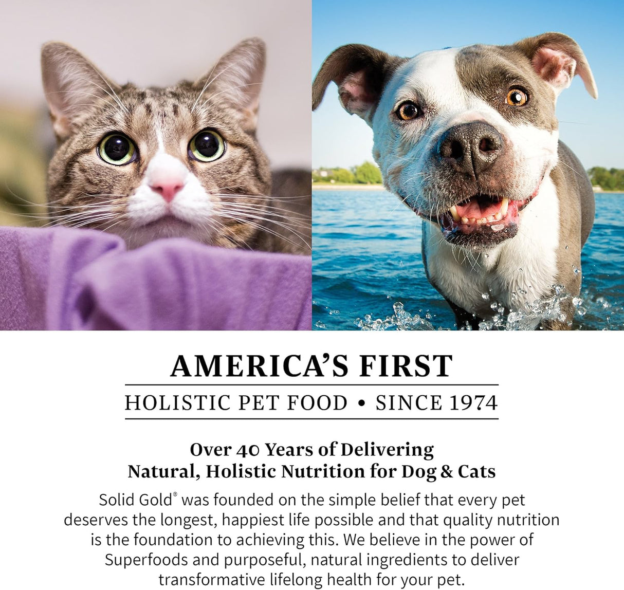 Vitaminas de comer caca para perros