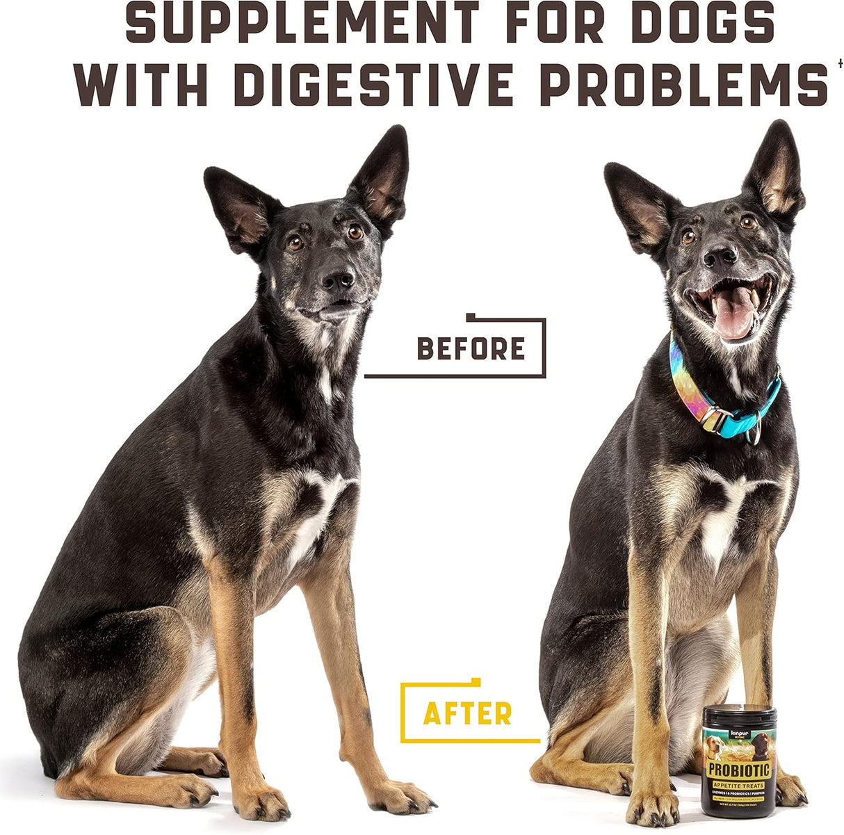 Probióticos para perros, Apoya la salud intestinal, alergias