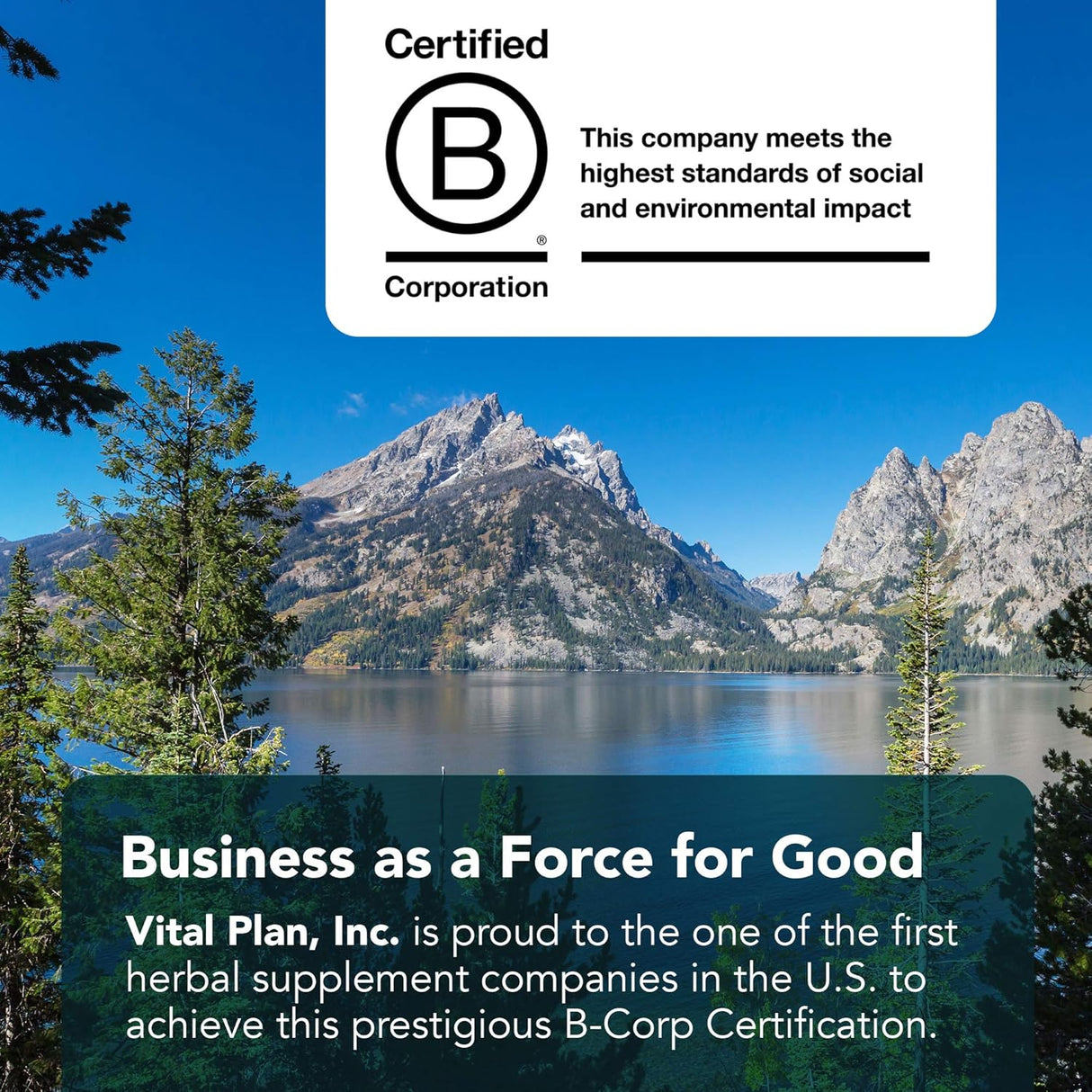 Suplementos Alimenticios para la salud intestinal