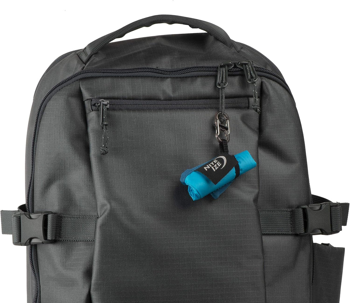 Tazón Colapsable para Perros Nite IZE RadDog Ligero y Práctico