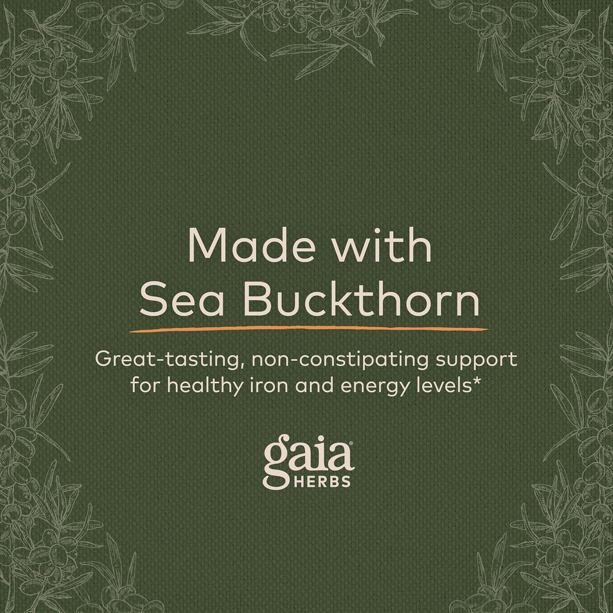 Suplemento Hierro líquido planta force gaia Herbs 16 onzas