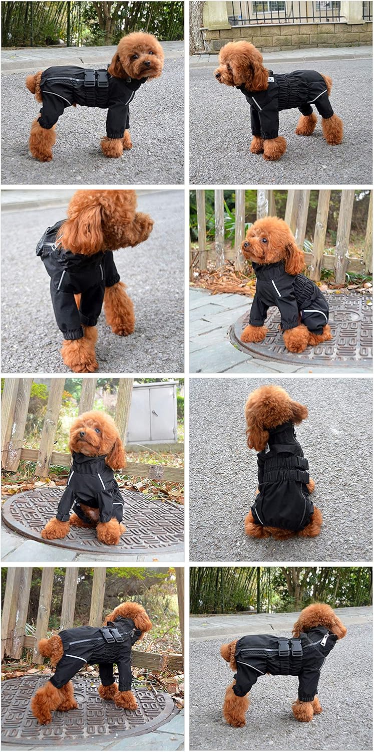 Chaqueta impermeable para perros, segura, ligera, XXL
