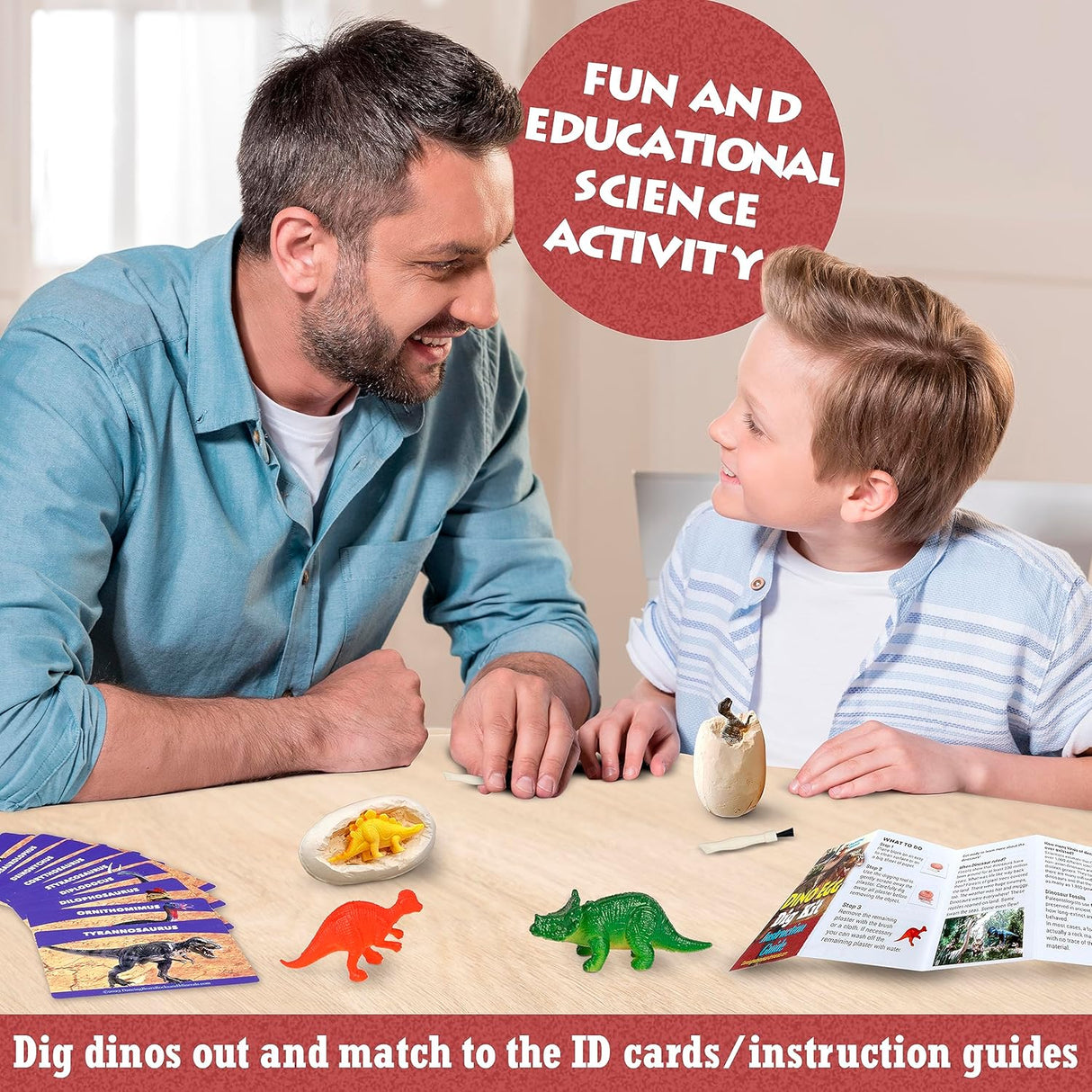 Kit DANCING BEARde Excavación Dinosaurios para 12 Niños