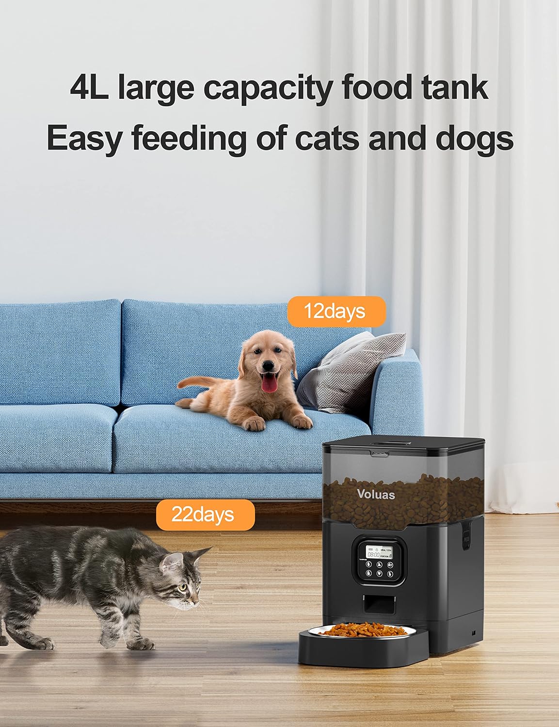 Dispensador de alimentos secos para gatos con temporizador