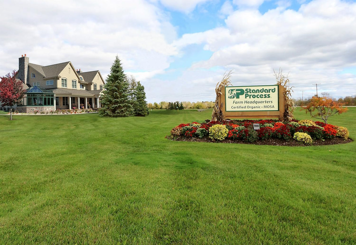 Suplementos AlimenticiosApoyo inmunológico de alimentos