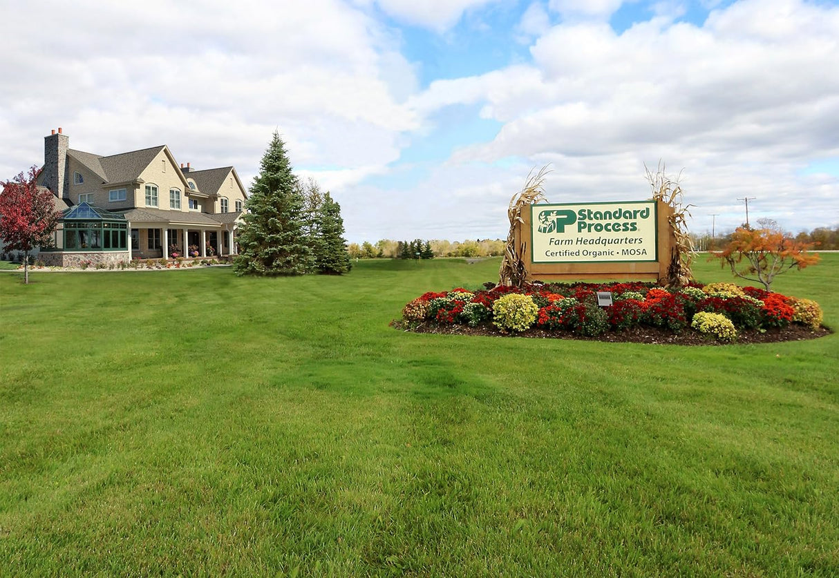 Suplementos Alimenticios de glándula pituitaria con lactato