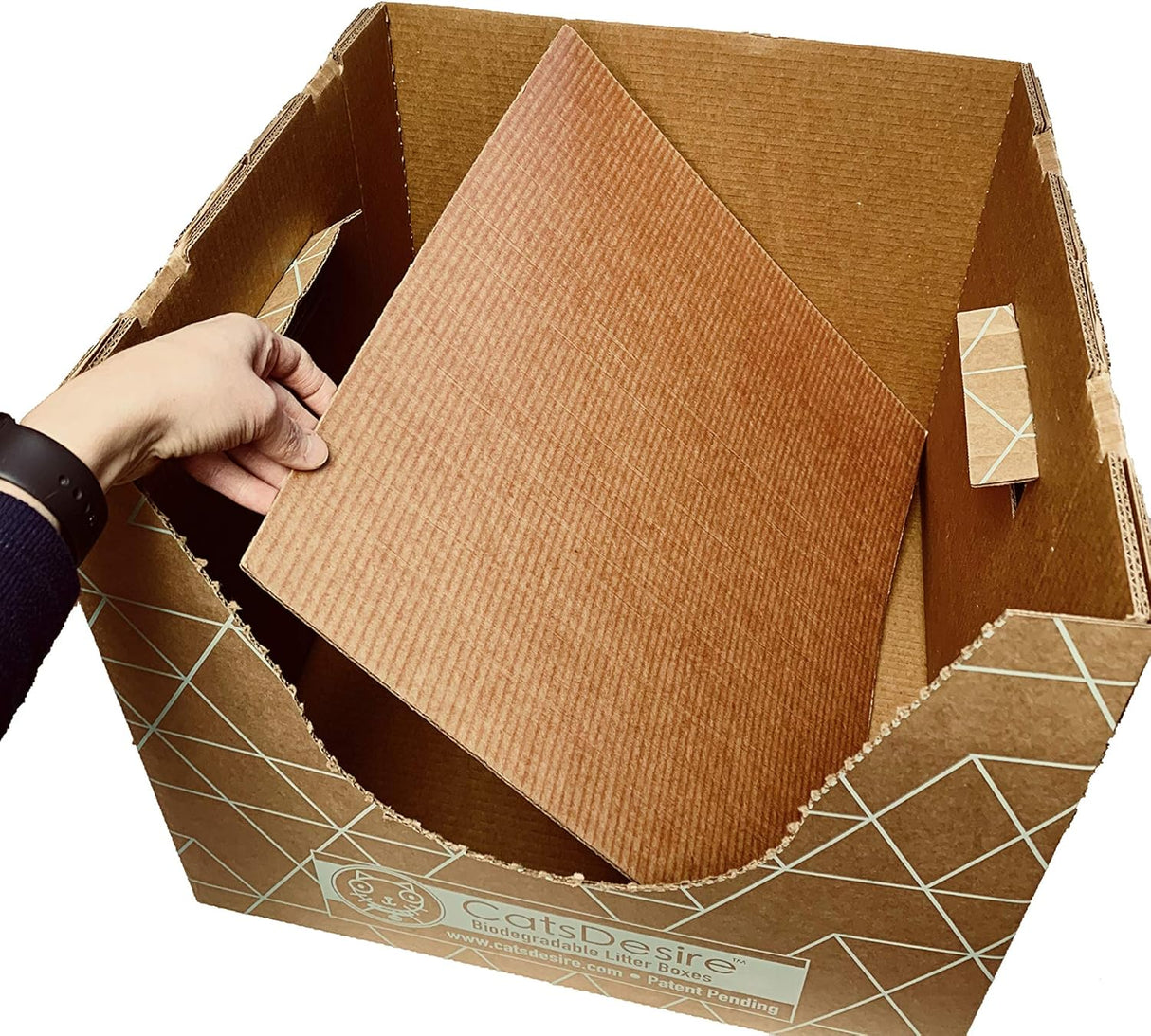 Caja de arena biodegradable de entrada superior o lateral